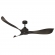 Eagle Ceiling fan Black