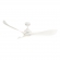 Eagle Ceiling fan Mercator Lighting