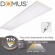 Domus Trio Led Batten