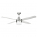 Atrium Ceiling Fan with light