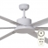 Albatross Ceiling Fan White