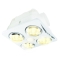 Newton Bathroom Heater 3 IN 1